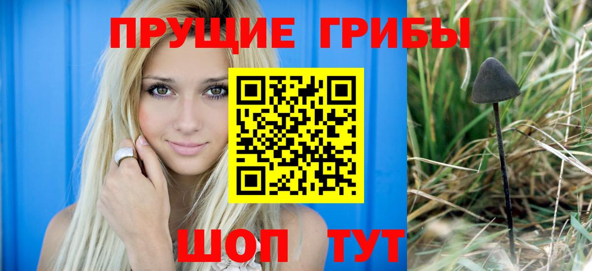 Псилоцибиновые грибы Magic Shrooms  Вход с VPN  Щёлково 