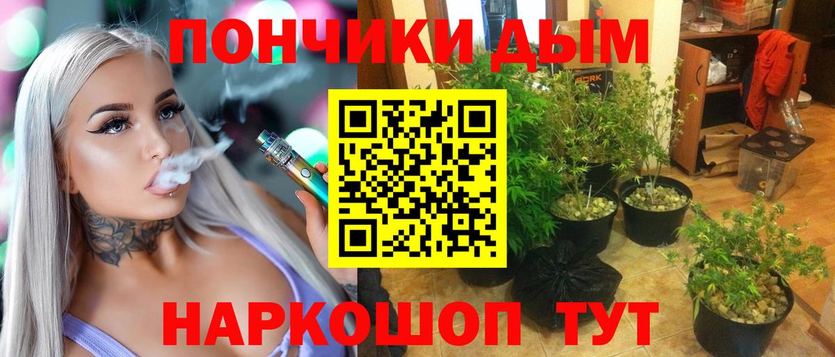 Бошки Шишки Ganja  Вход с VPN  Щёлково  Каннабис LSD WEED  МАРИХУАНА Amnesia  Шишки марихуана SATIVA & INDICA 